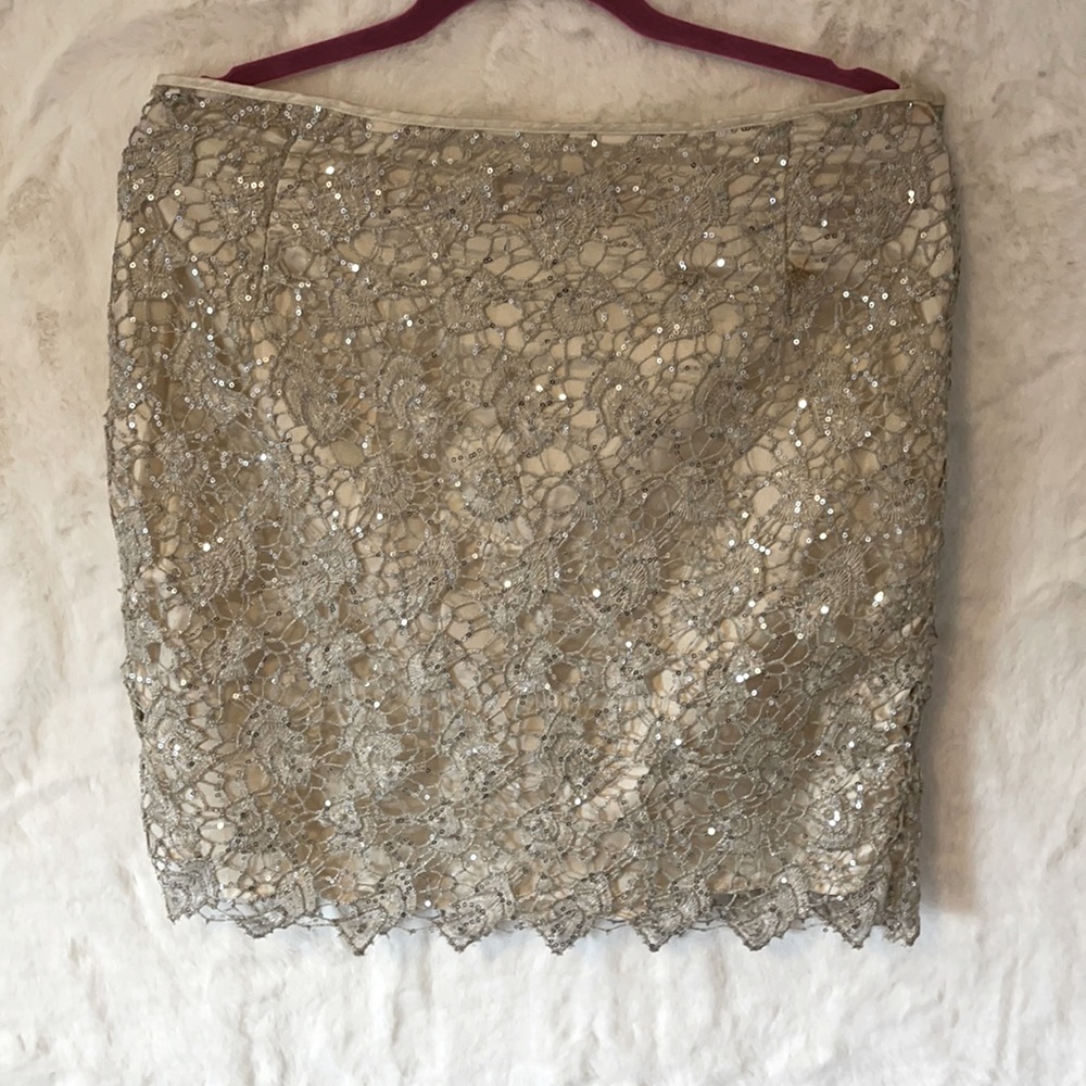 Sequin Lace Skirt